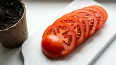 自家栽培のトマトをたった1つだけ：スーパーで学べるこの賢い裏技で、春にそれを実現しましょう