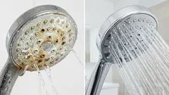 シャワーヘッドの水垢はどのように取り除けばいいですか？2つの製品を使ったこの手作りソリューションで、水圧を元通りに戻しましょう