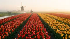 この春、ヨーロッパを旅するのに最適なルートです。